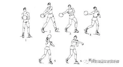 为什么选择特定品牌的篮球训练设备_1